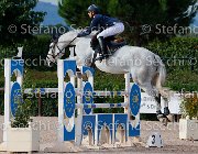 Cancogni Berlin's Pride GioCav2013 S5 3766 : Berlin's Pride, Campionati Italiani Giovani Cavalli, Cancogni Daniele, Cattolica, ph Stefano Secchi ©